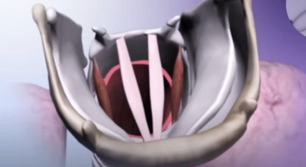Captura de pantalla 2025 09 03 173958