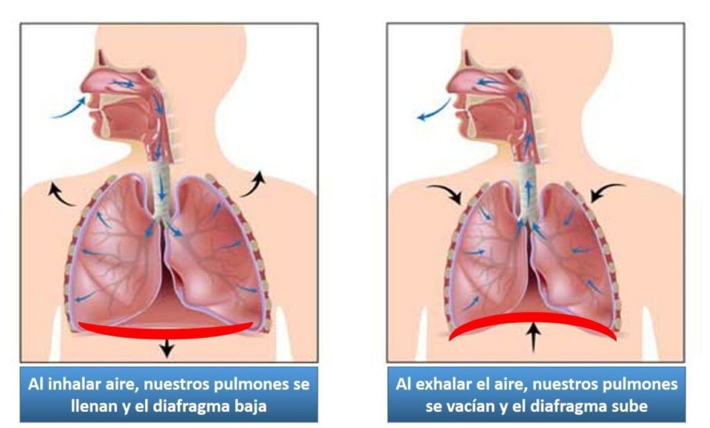 192 446205606327374486