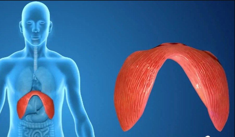 Captura de pantalla 2025 10 20 113418